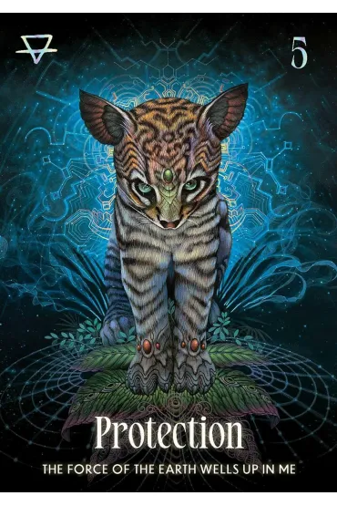 Shamanic Oracle, karty do wr�enia