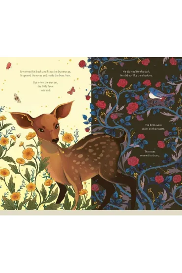 The Fawn Who Chased the Sun - Joanna  McInerney
