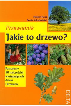 Jakie to drzewo? Przewodnik - Haag Holger, Schadwinkel Sonia - Haag Holger, Sonia Schadwinkel