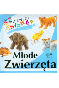M�ode zwierz�ta Moje pierwsze s��wka - Arkadiusz Dziwicki