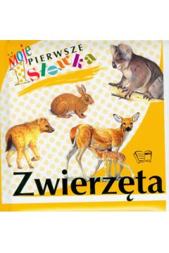 Zwierz�ta Moje pierwsze s��wka - Arkadiusz Dziwicki