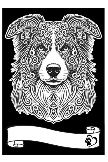 Kolorowanka Welwetowa A4 Border Collie