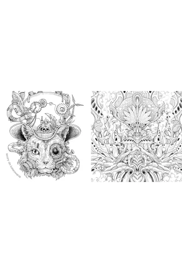 Symetrie. Zdumiewaj�cy �wiat niezwyk�ych harmonii - Kerby Rosanes, Dorota  Lachowicz