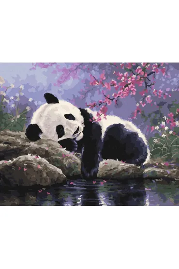 Twoje Hobby Malowanie po numerach - Panda na odpoczynku 40x50cm