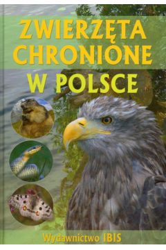 Zwierz�ta chronione w Polsce