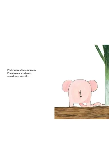 Pomelo wyrusza za mur ogrodu - Benjamin Chaud, Ramona B�descu