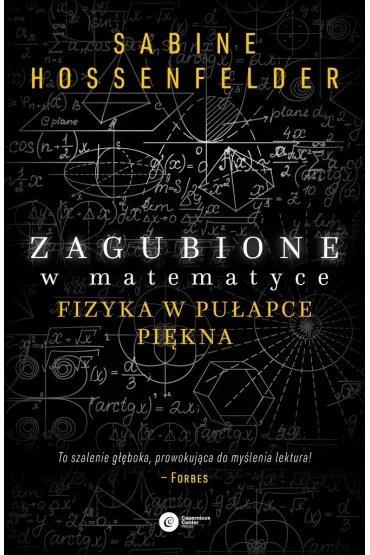 Zagubione w matematyce Fizyka w pu�apce pi�kna - Sabine Hosenfelder, Tomasz  Miller
