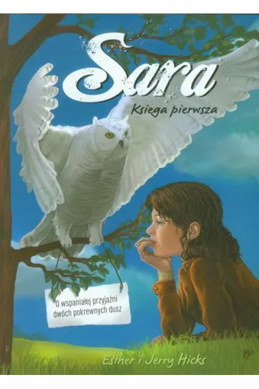 Sara. Ksi�ga pierwsza - Esther Hicks, Jerry Hicks
