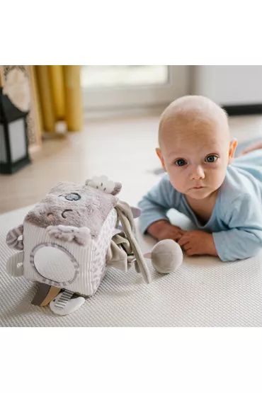 Babyono Kostka sensoryczna Koala Coco