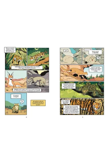 Koty - natura i wychowanie. Naukomiks - Andy  Hirsch