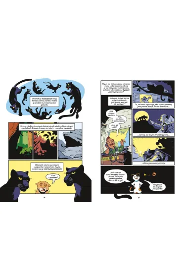 Koty - natura i wychowanie. Naukomiks - Andy  Hirsch