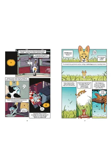 Koty - natura i wychowanie. Naukomiks - Andy  Hirsch