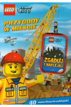 Przygody w mie�cie