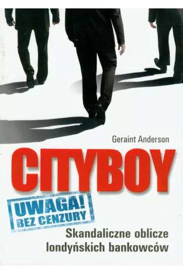 Cityboy - Anderson Geraint