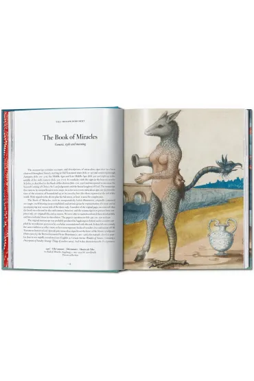 The Book of Miracles wer. angielska - Till-Holger Borchert