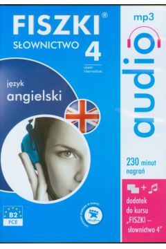 FISZKI audio J�zyk angielski S�ownictwo 4