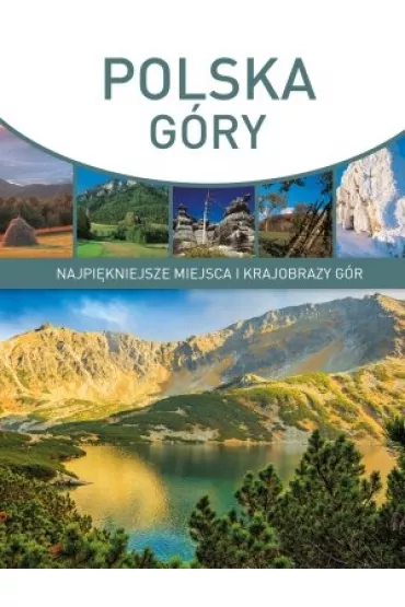 POLSKA GORY-OLESIEJUK - Marcin Panek