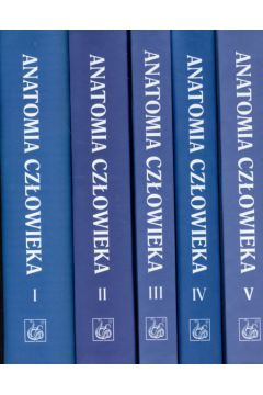 Anatomia cz�owieka t.1/5 - Bochenek Adam, Reicher Micha� - Adam Bochenek, Micha� Reicher