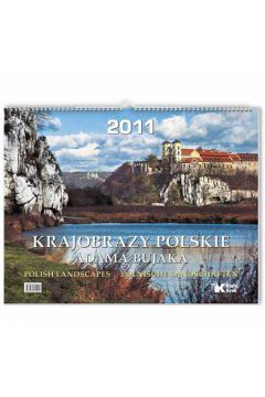 Kalendarz �cienny 2011 Krajobrazy polskie Adama Bujaka - Bujak Adam - Adam Bujak