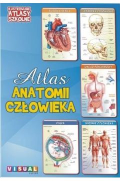 Ilustrowany atlas szkolny. Atlas anatomii czowieka