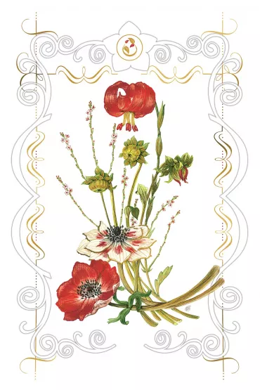 DaVinci Karnet Lilie B-BD 502 063 + koperta 12 x 18 cm