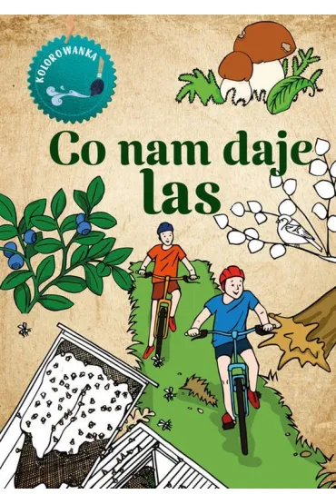 Co nam daje las. Kolorowanka - Katarzyna Kopiec-Sekieta