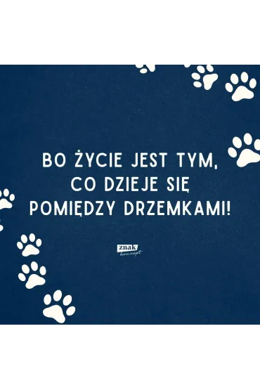 Vita Felix. Kocia droga do szcz�cia - Giuliano Martinetti