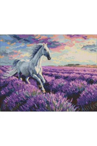 Diamentowa mozaika - Na polach lawendy 40x50cm