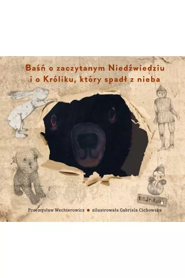 Ba�� o zaczytanym Nied�wiedziu i o Kr�liku, kt�ry spad� z nieba - Przemys�aw Wechterowicz