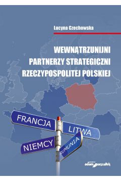 eBook Wewntrzunijni partnerzy strategiczni Rzeczypospolitej Polskiej mobi epub