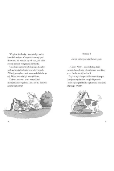 Nelly Rapp i wilko�aki. Nelly Rapp. Tom 3 - Martin Widmark