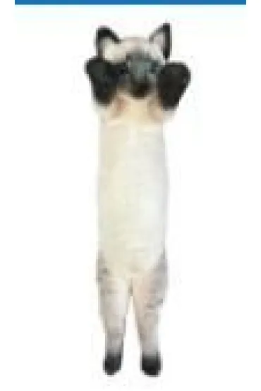 Kot stoj�cy syjamski 55cm Dubi