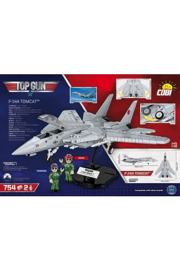 Top Gun: F-14 Tomcat