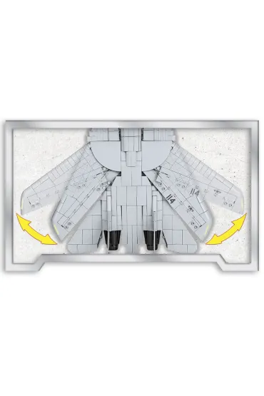 Top Gun: F-14 Tomcat