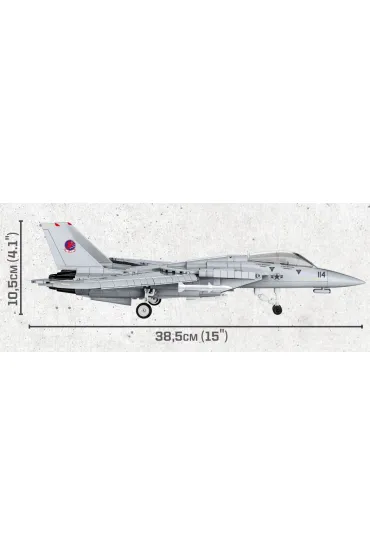 Top Gun: F-14 Tomcat