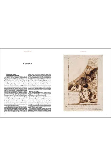 Goya. The Complete Prints - Anna  Reuter, Manuel  Jos� Matilla