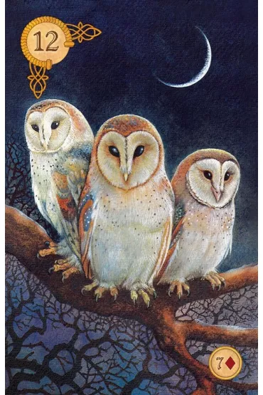 Celtic Lenormand, karty do wr�enia - Chlo� McCracken