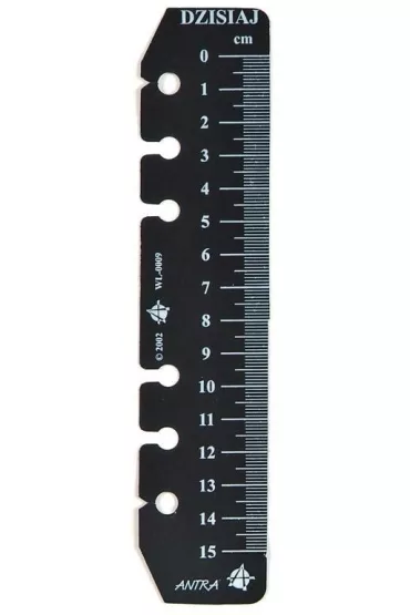 Antra Linijka do organizera 15 cm