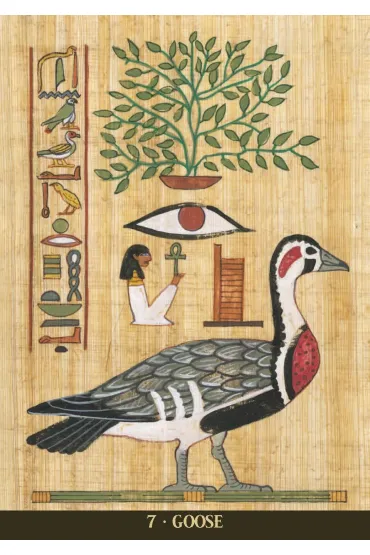 Egyptian Sacred Animals Oracle Cards, Wyrocznia �wi�tych Zwierz�t Egiptu - Silvana Alasia