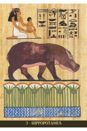 Egyptian Sacred Animals Oracle Cards, Wyrocznia �wi�tych Zwierz�t Egiptu - Silvana Alasia
