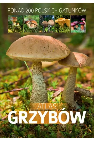Atlas grzyb�w (ponad 200 polskich gatunk�w) - Patrycja Zarawska