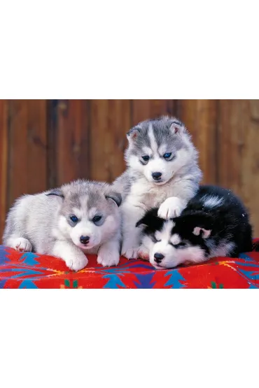 Puzzle 200 el. XXL Szczeni�ta Husky 128235 Ravensburger