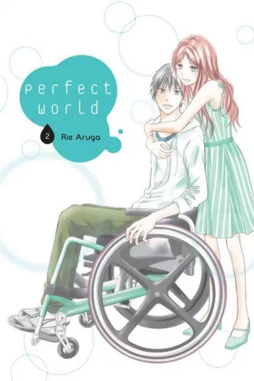 Perfect World. Tom 2 - Rie Aruga