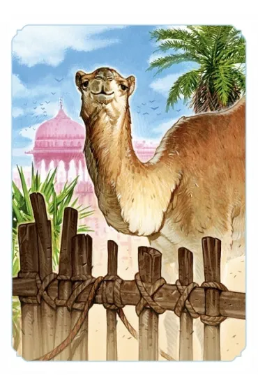 Jaipur Rebel - Sebastien Pauchon