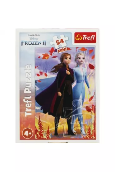 Puzzle mini 54 el. W �wiecie Anny i Elsy 2 Trefl
