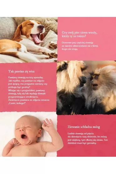 Moja pierwsza encyklopedia. Zwierz�ta. Disney - Nancy Parent