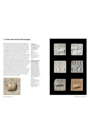 India. A History in Objects - Richard T Blurton