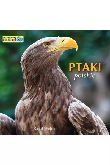 Poznajemy zwierz�ta. Ptaki polskie LIWONA - Rafa� Wejner