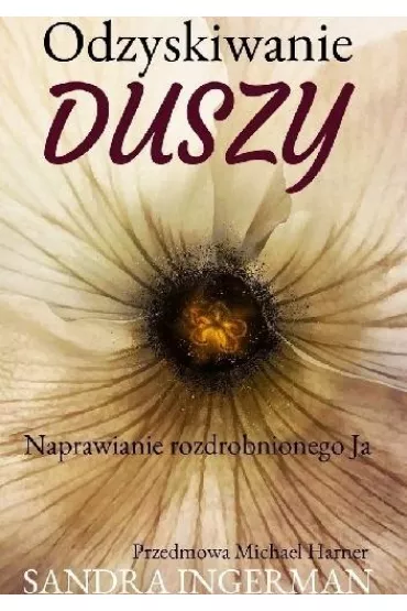 Odzyskiwanie duszy - Sandra Ingerman