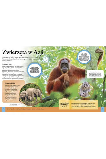 Encyklopedia �rodowiska naturalnego